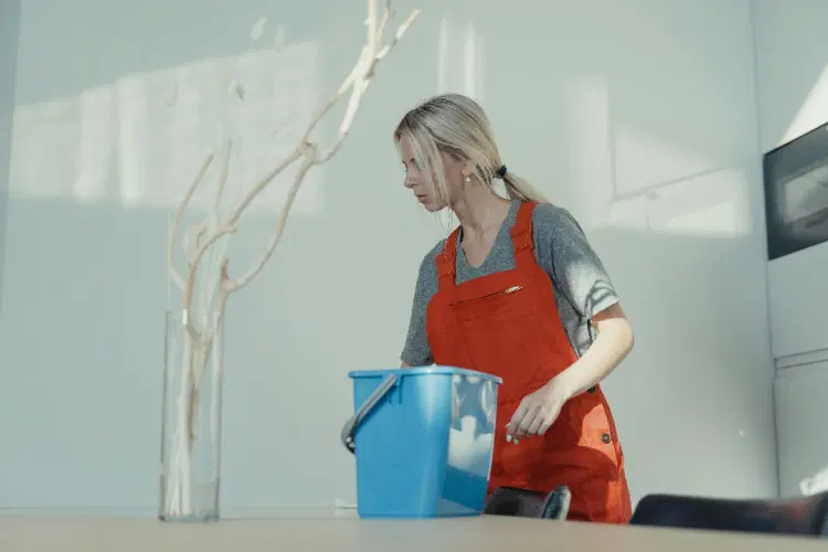 Indian Maid Service in Dubai: Affordable Help for Only 195 AED