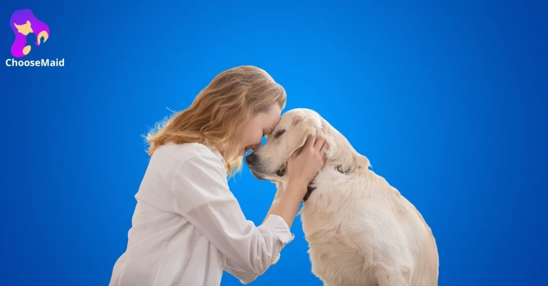 Best Pet Sitter in Dubai for Dogs, Cats and More