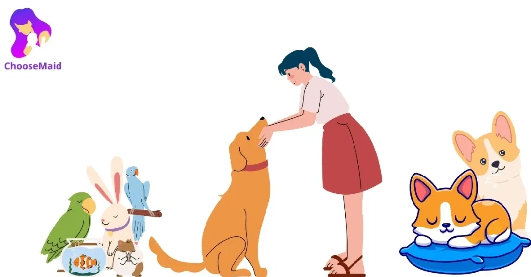 Finding the Perfect Pet Sitters in Dubai_ A Complete Guide